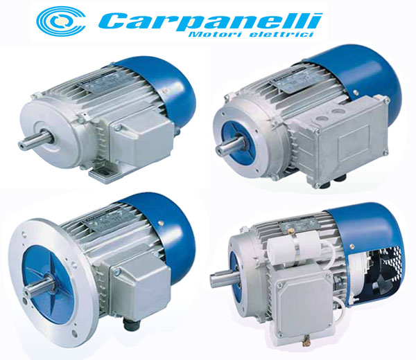 意大利Carpanelli电机