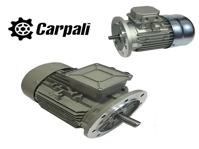 Carpali motor