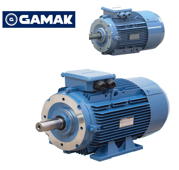 GAMAK motor