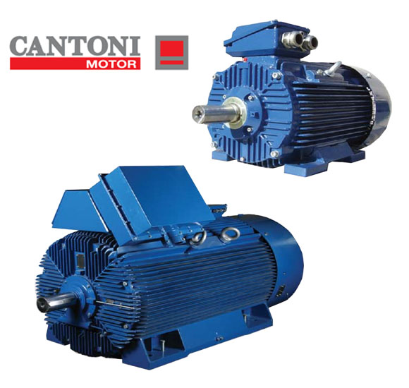 CANTONI电机，Cantoni马达
