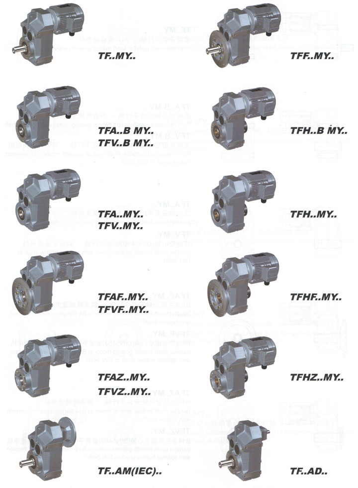 F型平行轴减速机,TF斜齿轮平行轴减速电机(图1)