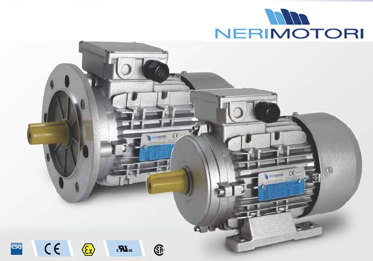 NERI MOTORI电机,NERIMOTORI马达(图1)